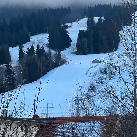 Отель Alpen Martin *