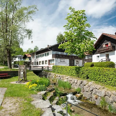 Alpen Martin Hotel *
