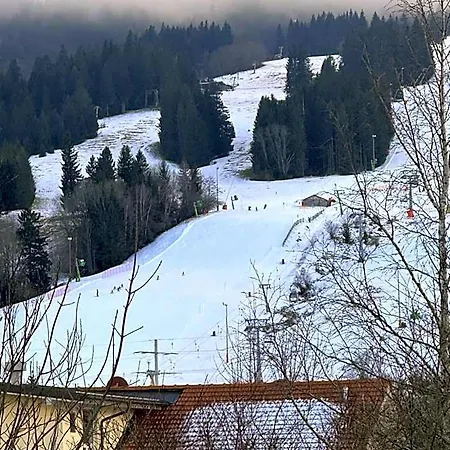 Otel Alpen Martin